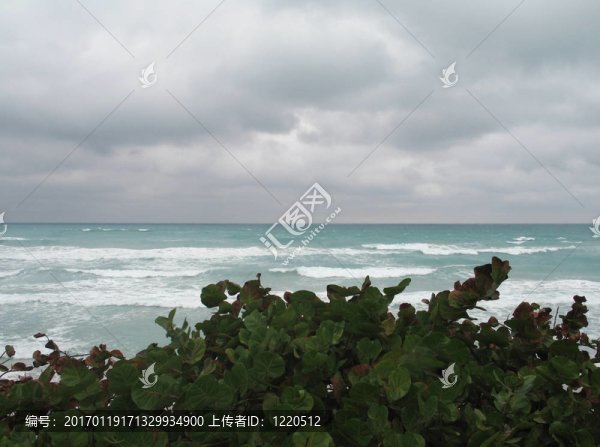 熱帶海景