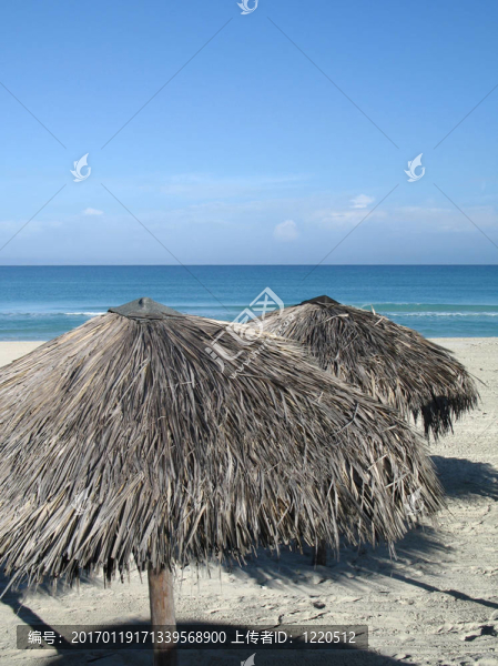 熱帶海景