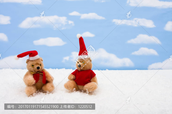 圣誕熊