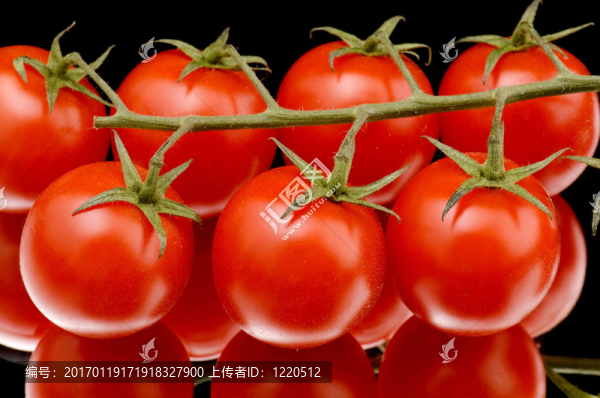 紅番茄黑