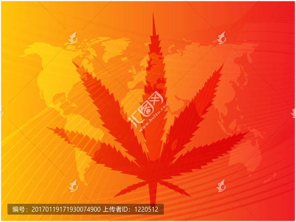 大麻葉插圖