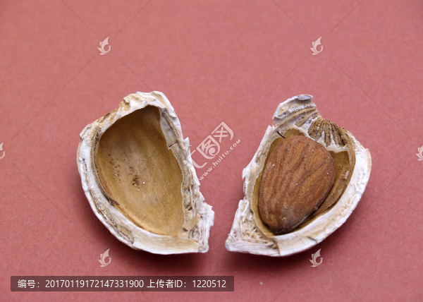 杏仁