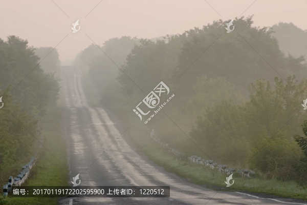 在薄霧的空蕩蕩的道路