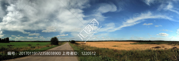 夏天的綠色和黃色