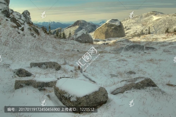 雪中的巨石