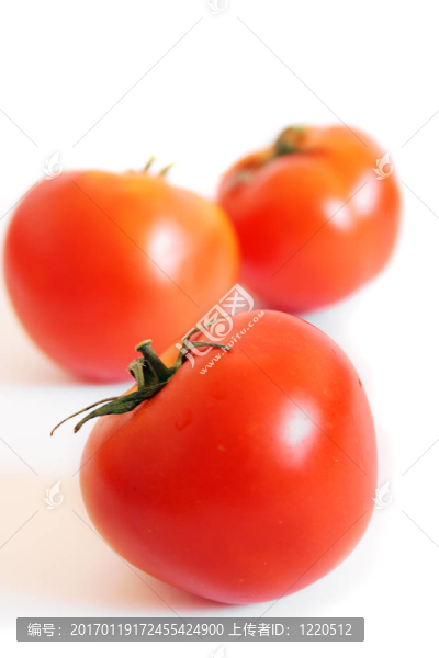 孤立的西紅柿