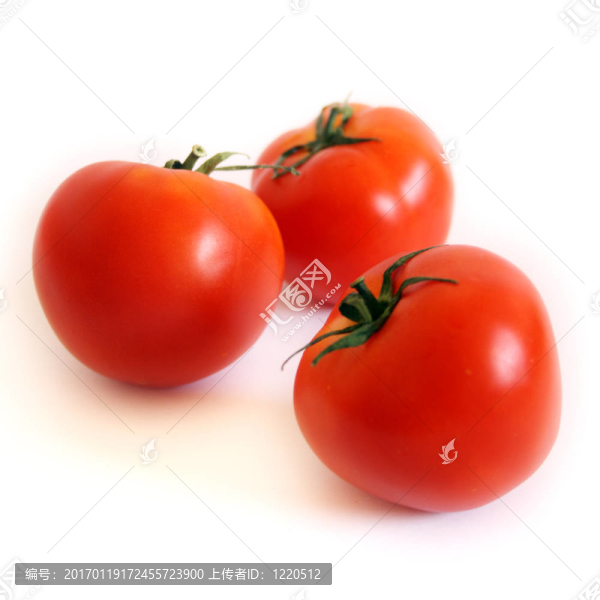 孤立的西紅柿