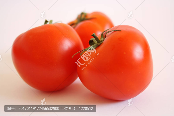 孤立的西紅柿