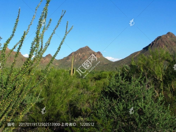 沙漠山地觀