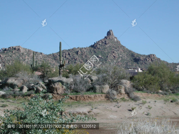 高峰-匯圖網(wǎng) www.fosd68.com 高峰