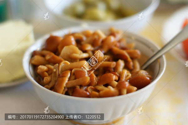 蘑菇的好去處