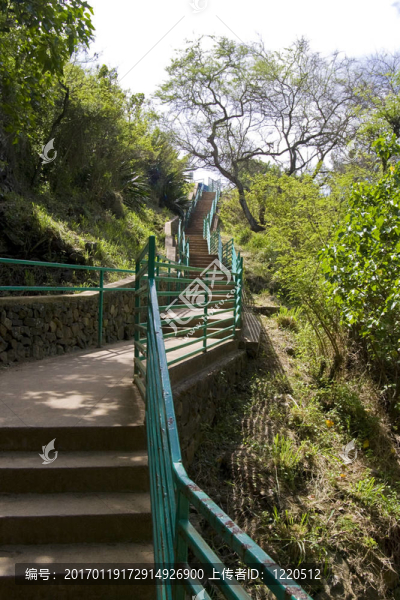 公園的樓梯