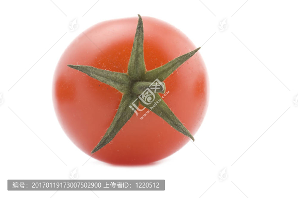 原料番茄
