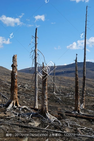 在酸雨大雅-匯圖網(wǎng) www.fosd68.com 在酸雨大雅