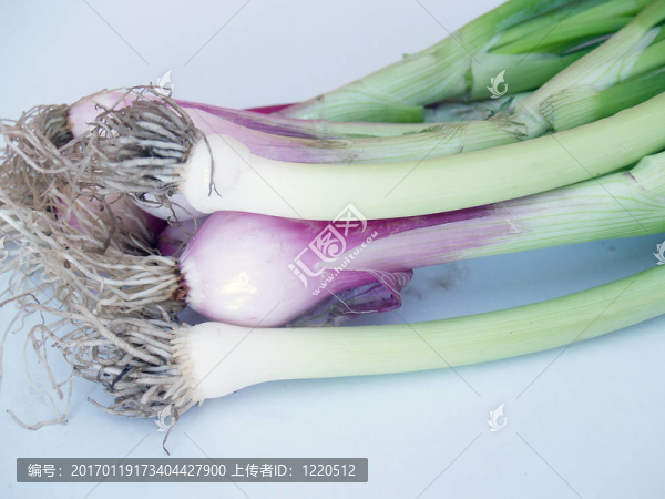 verdeo洋蔥