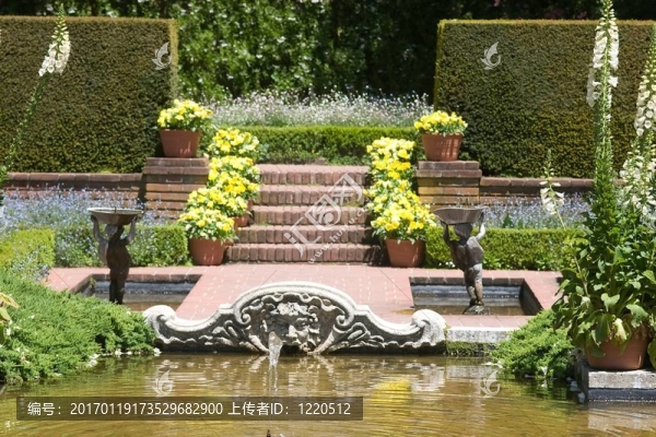 費(fèi)羅麗