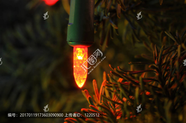 單一的圣誕之光