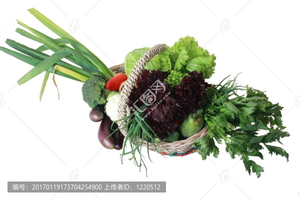 菜籃子