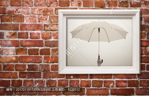 雨