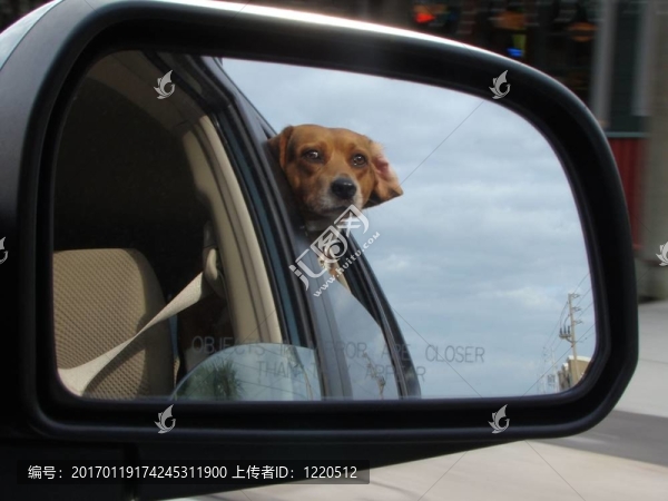 透過(guò)車(chē)窗