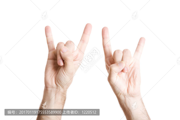 音樂(lè)愛(ài)好者的手中