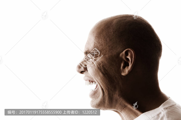 瘋子-匯圖網(wǎng) www.fosd68.com 瘋子