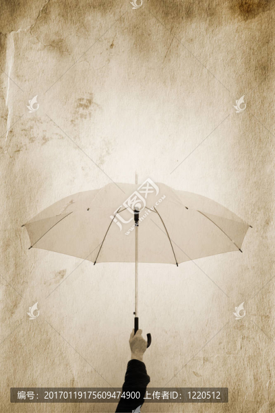 秋雨-匯圖網(wǎng) www.fosd68.com 秋雨