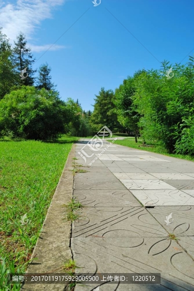 在公園路