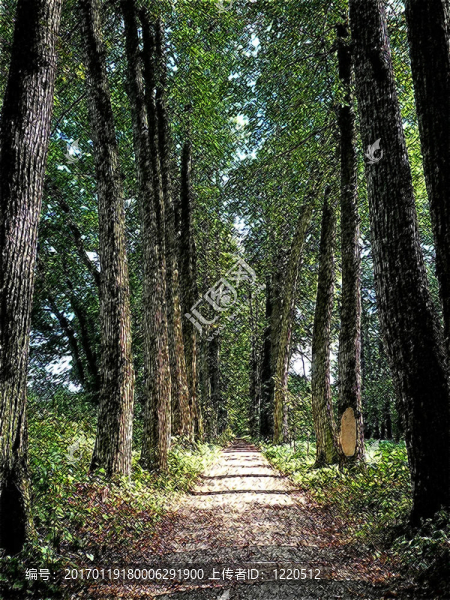 在公園大道