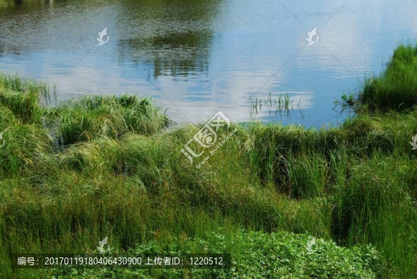 小海灣