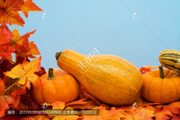 秋天收獲的框架