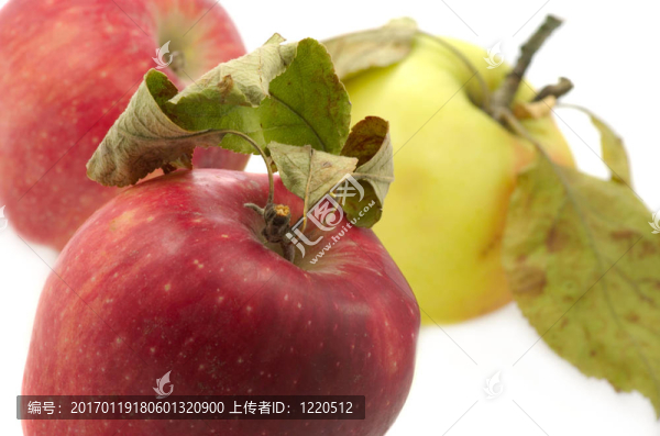 蘋果