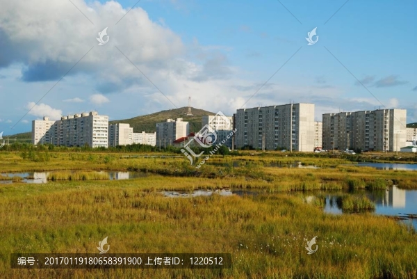沼澤地上的城市