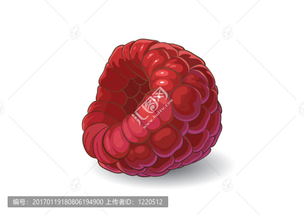 覆盆子