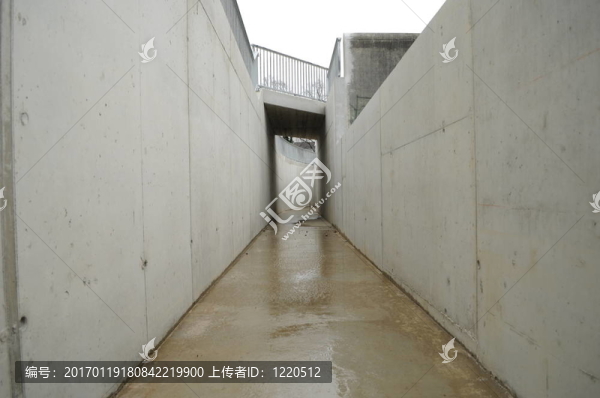004頻道