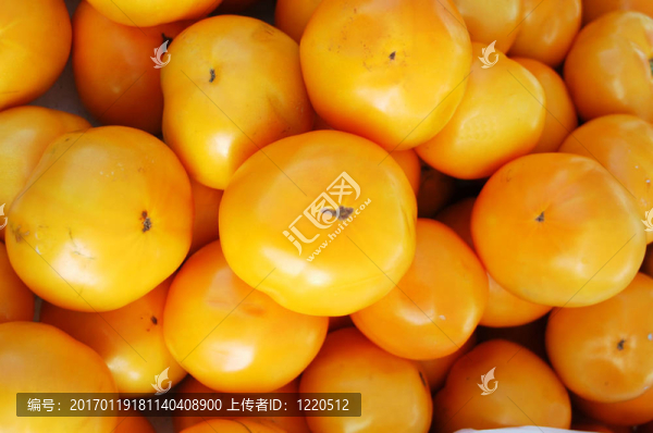 西紅柿