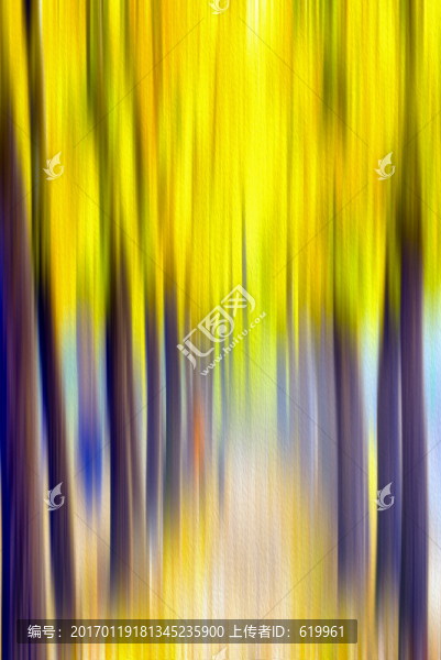 抽象裝飾油畫
