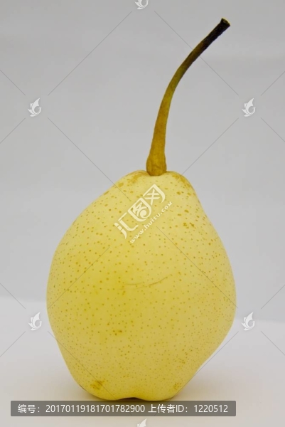 中國梨黃