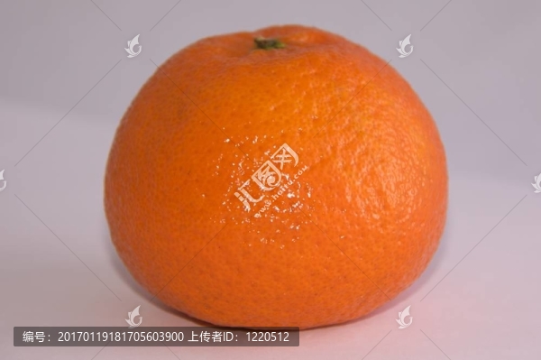 Tangerine夜店