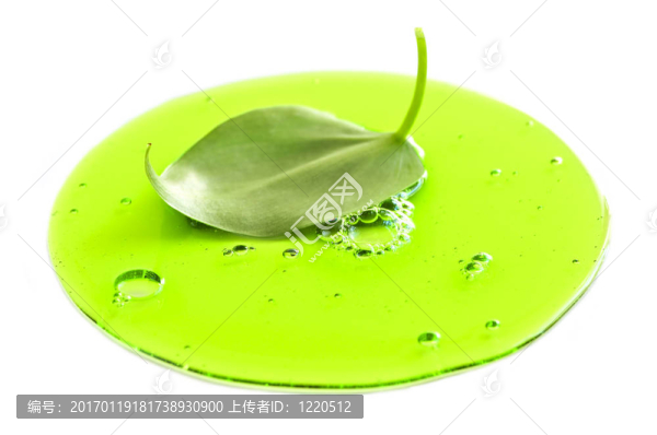 綠色液體中的鮮葉