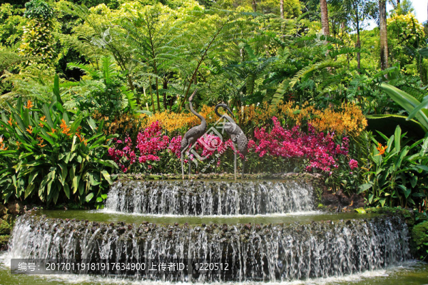 新加坡植物園