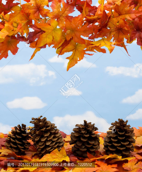 秋天收獲的邊界