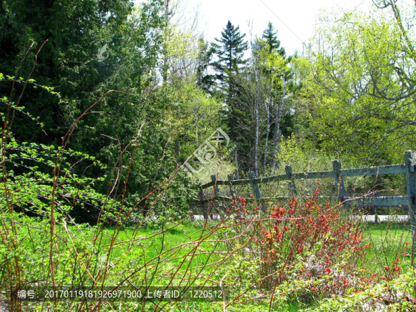 緬因州農(nóng)村公路上的景象-匯圖網(wǎng) www.fosd68.com 緬因州農(nóng)村公路上的景象