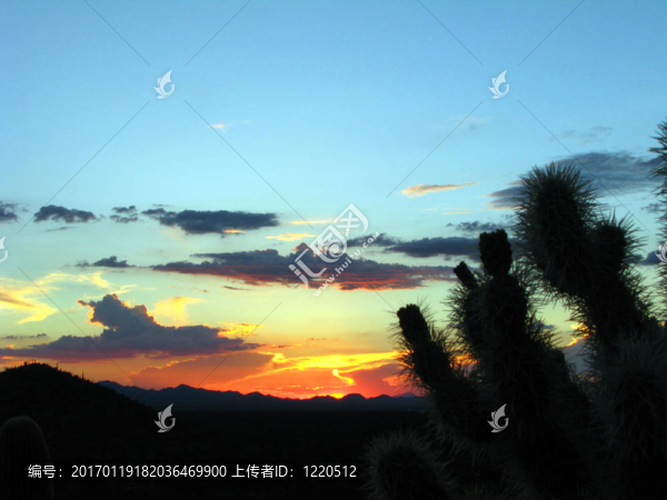 夕陽