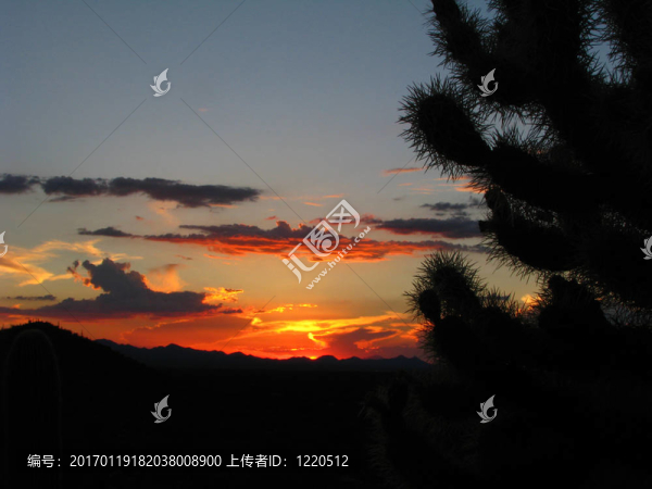 夕陽