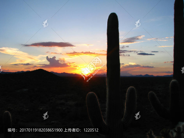 夕陽
