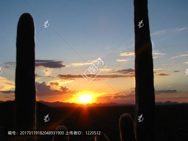 夕陽