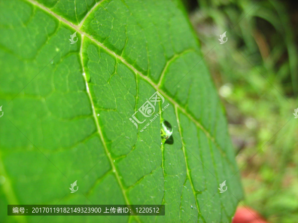 水滴