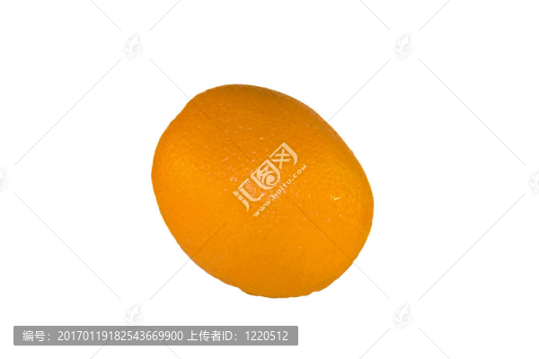 大橘子的水果