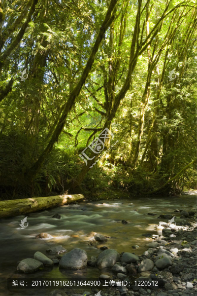奧林匹克國家公園